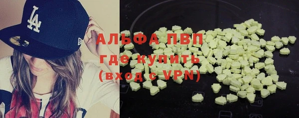 СК Алексин