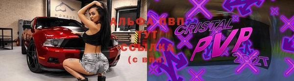СК Алексин
