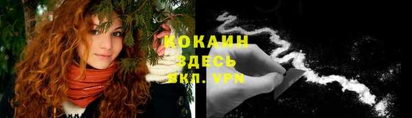 соль курить ск Алексеевка